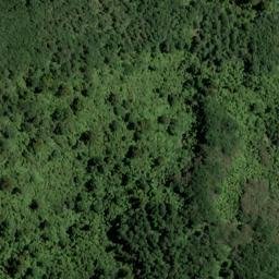 Satellite imagery of POLES, NZ
