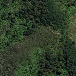 Satellite imagery of Spencer Point, NZ