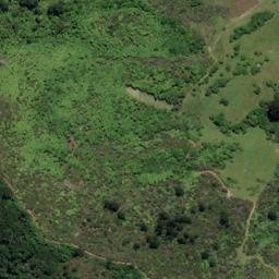 Satellite imagery of Spencer Point, NZ