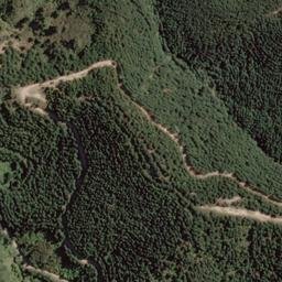 Satellite imagery of Graham Point, NZ