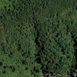 Satellite imagery of POLES, NZ