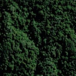 Satellite imagery of Te Ahitaore, NZ