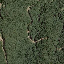 Satellite imagery of Graham Point, NZ