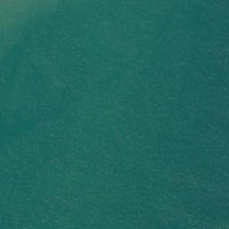 Satellite imagery of Goat Point, NZ