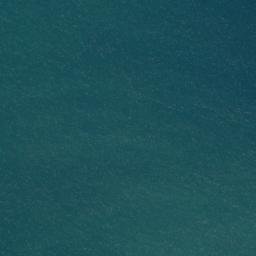 Satellite imagery of Goat Point, NZ