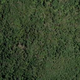 Satellite imagery of 1524 TWIXT, NZ