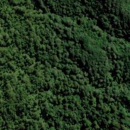 Satellite imagery of Captain Cook's Monument, NZ