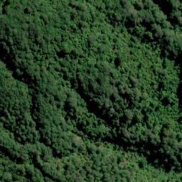 Satellite imagery of Captain Cook's Monument, NZ