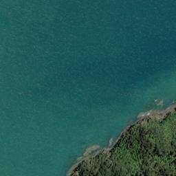 Satellite imagery of Goat Point, NZ