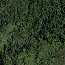 Satellite imagery of 1524 TWIXT, NZ
