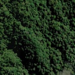 Satellite imagery of Captain Cook's Monument, NZ
