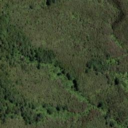Satellite imagery of Bobs Point, NZ