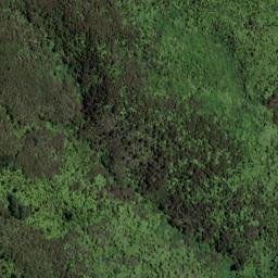 Satellite imagery of Bobs Point, NZ