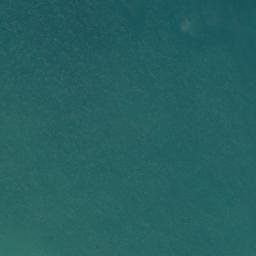 Satellite imagery of Taiwhati Point, NZ