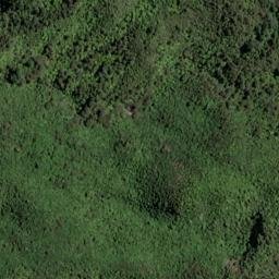 Satellite imagery of 1524 TWIXT, NZ
