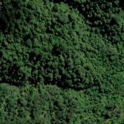 Satellite imagery of Captain Cook's Monument, NZ