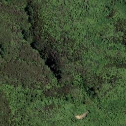 Satellite imagery of Bobs Point, NZ