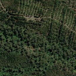 Satellite imagery of Wild Pig Hill, AU