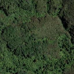 Satellite imagery of Bobs Point, NZ