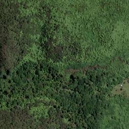 Satellite imagery of Bobs Point, NZ