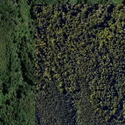 Satellite imagery of Kohatu Point, NZ