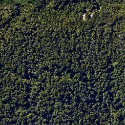 Satellite imagery of Taiwhati Point, NZ
