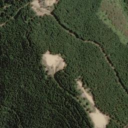 Satellite imagery of Whangamoa Head, NZ
