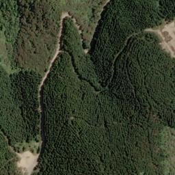 Satellite imagery of Whangamoa Head, NZ