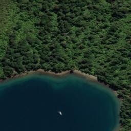 Satellite imagery of Dillon Bell Point, NZ