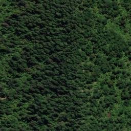 Satellite imagery of Dillon Bell Point, NZ