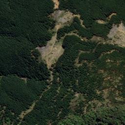 Satellite imagery of 1561, NZ