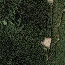 Satellite imagery of Whangamoa Head, NZ