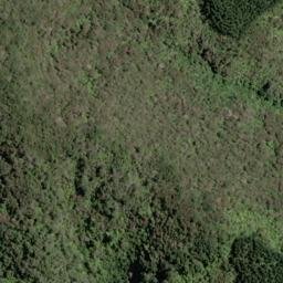 Satellite imagery of I WHANGAMOA HEAD, NZ
