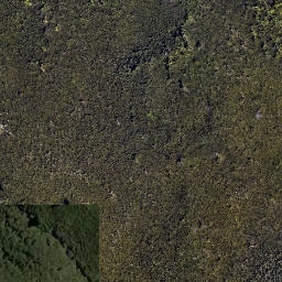 Satellite imagery of 1551 OKIWI, NZ