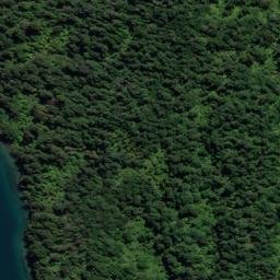 Satellite imagery of Dillon Bell Point, NZ