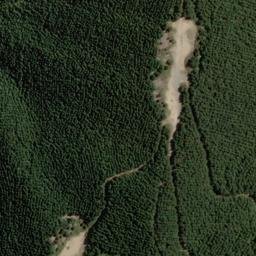 Satellite imagery of Whangamoa Head, NZ