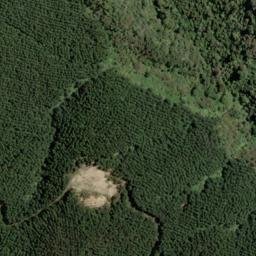 Satellite imagery of Whangamoa Head, NZ