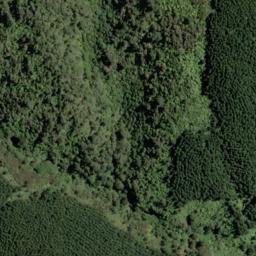 Satellite imagery of I WHANGAMOA HEAD, NZ