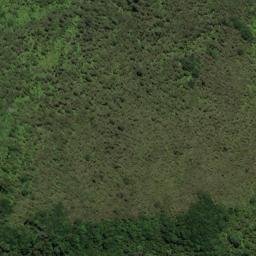 Satellite imagery of The Reef, NZ