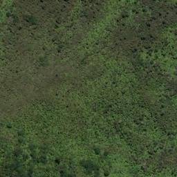 Satellite imagery of The Reef, NZ