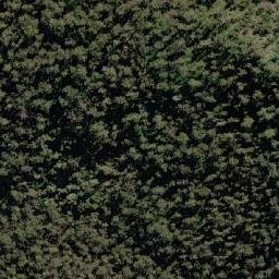 Satellite imagery of Tippogoree, AU