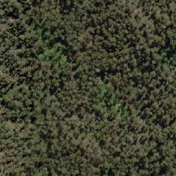 Satellite imagery of Tippogoree, AU