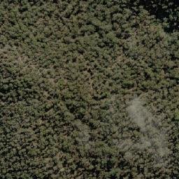 Satellite imagery of Tippogoree, AU
