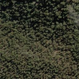 Satellite imagery of Tippogoree, AU
