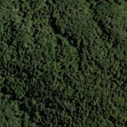 Satellite imagery of 1543, NZ