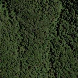 Satellite imagery of 1543, NZ