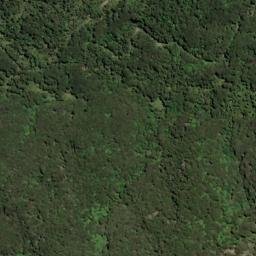 Satellite imagery of 1642, NZ