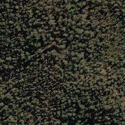 Satellite imagery of Tippogoree, AU