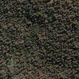 Satellite imagery of Tippogoree, AU