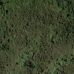 Satellite imagery of 1543, NZ